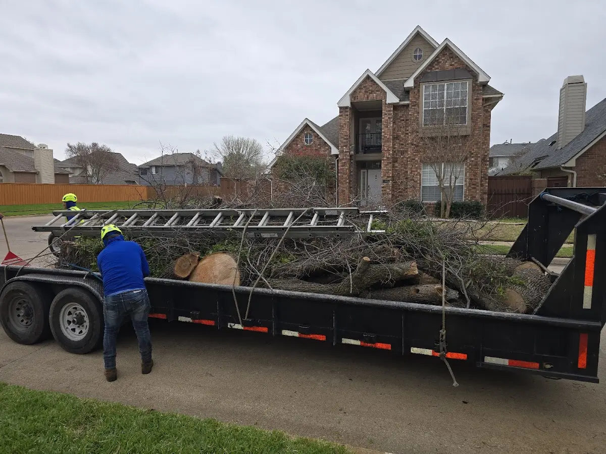 Expert Lot Clearing with proper safety equipment in Rueter